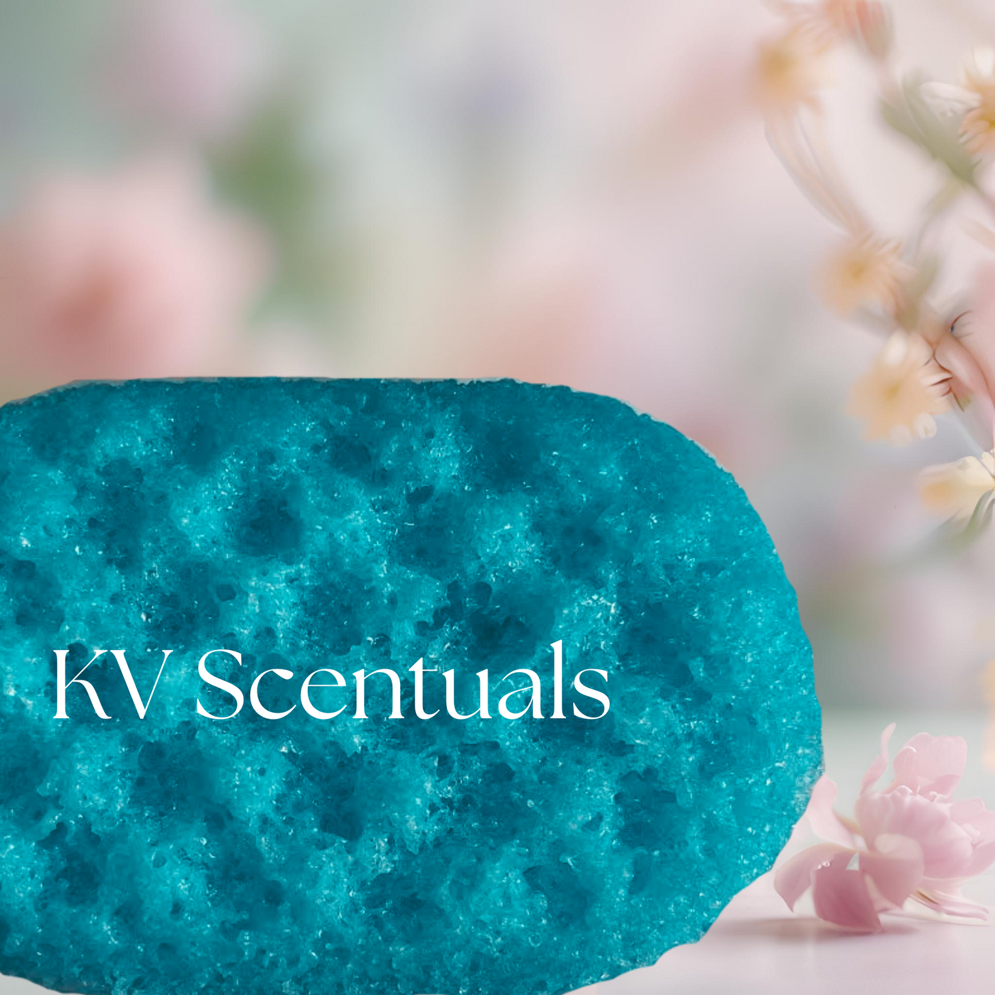 Savage Exfoliating Soap Sponge