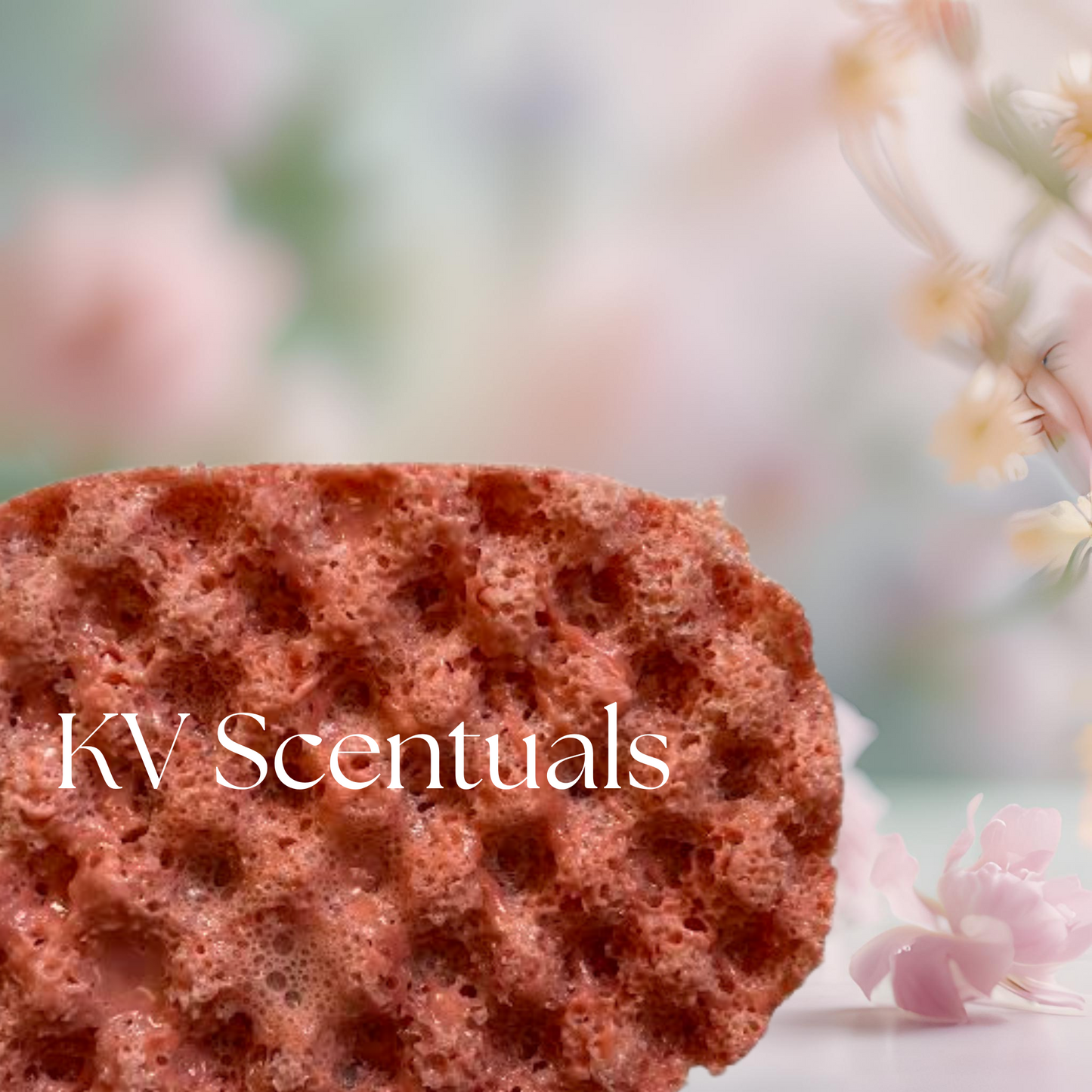 Cherry Exfoliating Soap Sponge